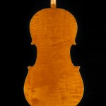 Cello back view