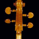 Cello scroll -- back view