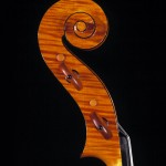 Cello scroll -- profile
