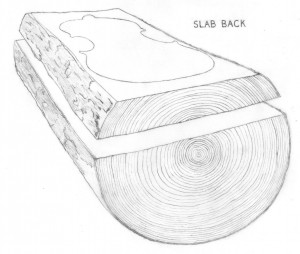 Slab back