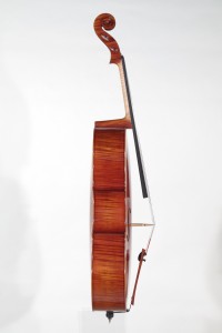 Cello side view