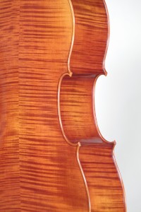 Cello oblique back