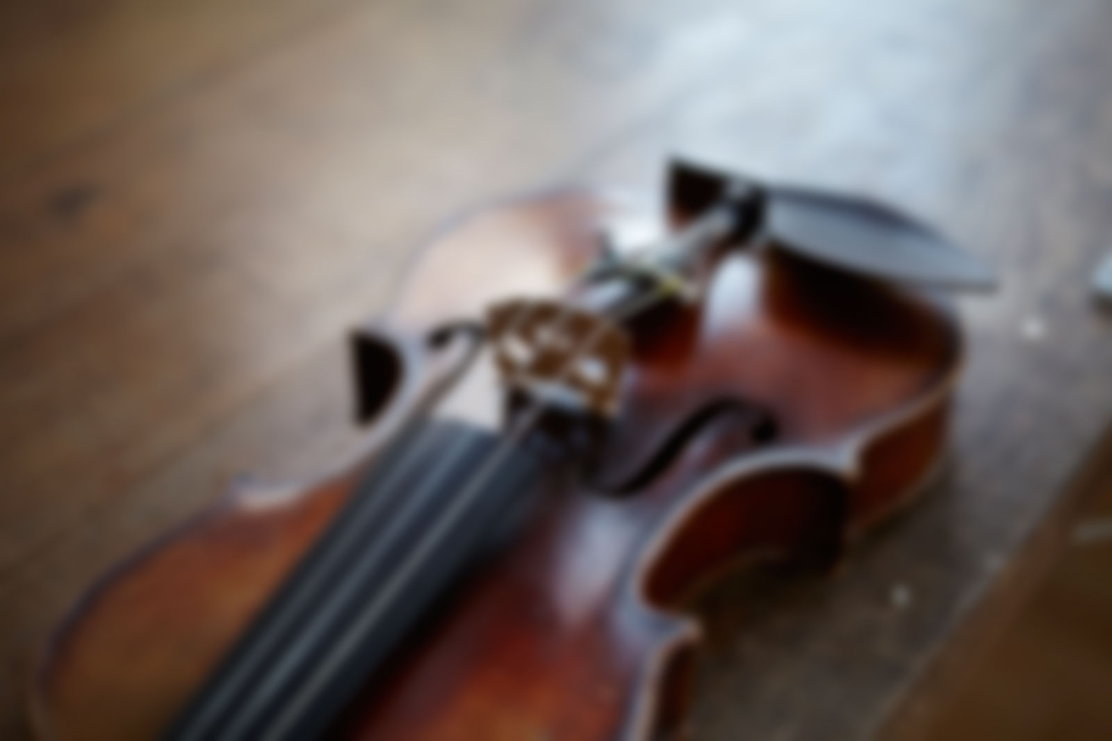 Non Slip Violin Tail Rope Accessories Tailgut Tailcord Violin Gut