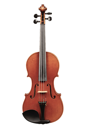 David Folland Violin